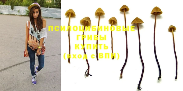 бошки Бердск
